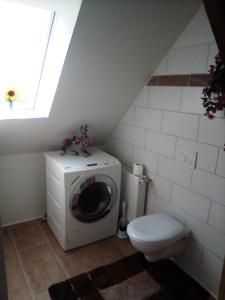 un bagno con lavatrice e WC di Gute Laune Pension 2 a Zapel