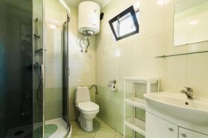 a bathroom with a toilet and a sink and a shower at Domki Letniskowe in Sztutowo