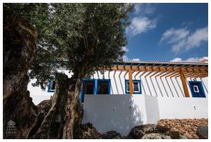 Galeriebild der Unterkunft Almojanda 3 olive tree in Fortios