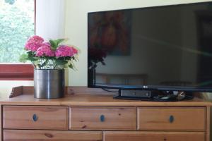 Televízia a/alebo spoločenská miestnosť v ubytovaní Ria's Apartment