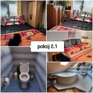 a collage of pictures of a room with a toilet at Penzion u Krtka in Kraslice