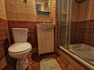 a bathroom with a toilet and a sink and a shower at Apartamenty Stasikowa Chata in Białka Tatrzańska