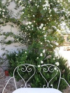 Vonkajšia záhrada v ubytovaní B&B Giovannarolla Green House