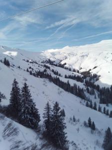 Haus Furka during the winter