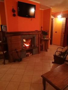 sala de estar con chimenea y TV en la pared en Le Chalet del Pollino, en Rotonda
