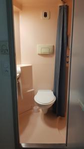 een kleine badkamer met een toilet en een douche bij Premiere Classe Périgueux - Boulazac in Boulazac