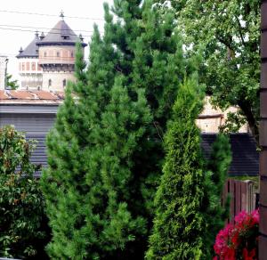 Zahrada ubytování Villand Hotel with Free Private Parking and Self Check In