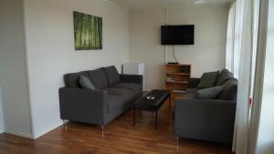 sala de estar con 2 sofás y TV en Vestavind hytter og rom AS, en Vigra
