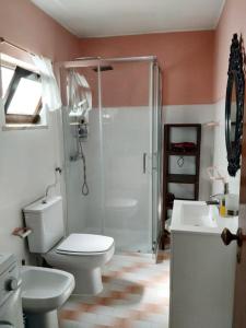 a bathroom with a shower and a toilet and a sink at Casa de campo em Sesimbra in Sesimbra