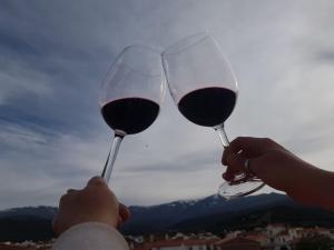 zwei Personen, die eine Brille Rotwein hochhalten in der Unterkunft Hotel El Picón de Sierra Nevada in Jerez del Marquesado