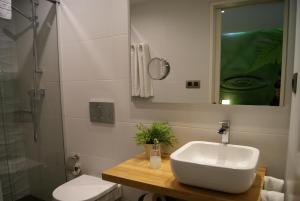 a bathroom with a sink and a toilet and a mirror at Mélida Ostatua in Ermua