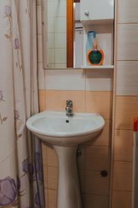 a bathroom with a sink and a mirror at Villa Magdalena in Ohrid