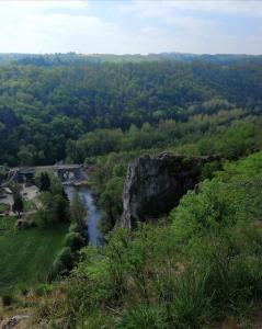 a view of a river with a bridge and trees at L'Atelier in Houyet