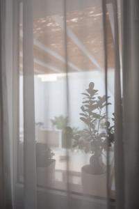 Fotografie z fotogalerie ubytování B.&.B Maison La Dama v destinaci Maruggio