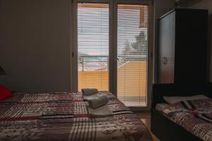 sypialnia z 2 łóżkami i dużym oknem w obiekcie Villa Magdalena w Ochrydzie