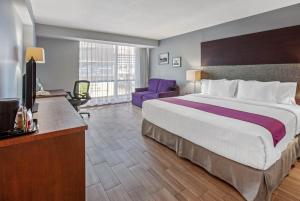 een hotelkamer met een groot bed en een televisie bij CHN Hotel Monterrey Centro, Trademark Collection by Wyndham in Monterrey