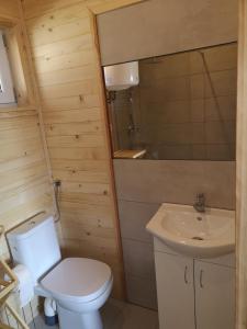 a small bathroom with a toilet and a sink at MARWIKOWE Domki Wypoczynkowe in Sieraków +27 photos