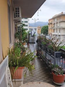 einen Balkon mit Topfpflanzen auf einem Gebäude in der Unterkunft Allaportaccanto Bed & Breakfast in Cassino