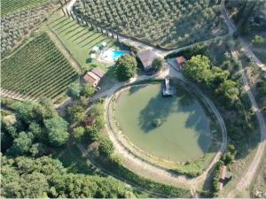 an aerial view of a lake in a vineyard at Agriturismo Fattoria Celle in Figline Valdarno