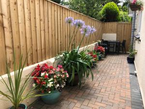 Zahrada ubytování The Annexe Room Hea Close