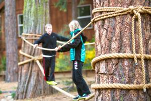 two boys playing on a rope bridge around a tree at Evergreen Lodge at Yosemite in Groveland
