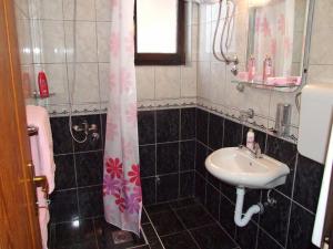 Koupelna v ubytování Apartment Tarski konaci + 37 fotografií