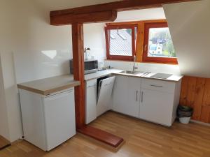 Cucina o angolo cottura di Hacienda ČERT Kořenov