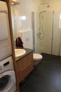 a bathroom with a shower and a toilet and a sink at Akureyri Holiday Apartments in Akureyri