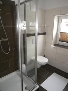 a bathroom with a shower and a toilet at Appartement Großwallner in Radstadt