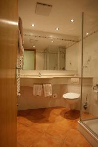 a bathroom with a toilet and a large mirror at Vier Löwen in Schönau im Schwarzwald