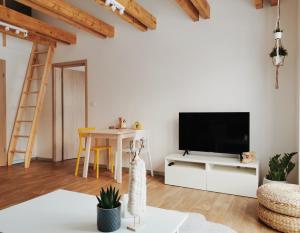 TV a/nebo společenská místnost v ubytování Apartmán v podkroví