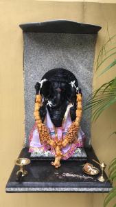 Foto sihtkohas Bhubaneshwar asuva majutusasutuse Nest Guest House galeriist