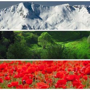two pictures of a field of red flowers and a mountain at Апартаменти Ковачева-2 in Bansko