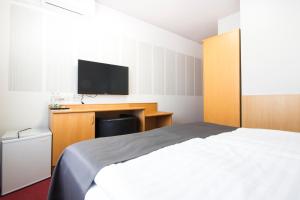 TV a/nebo společenská místnost v ubytování Hotel Maroli Mikulov
