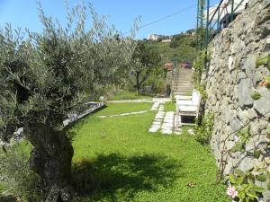 Jardí fora de Corte Del Gallo