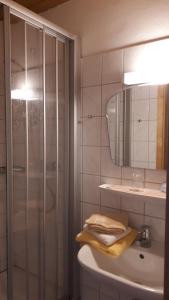 a bathroom with a shower and a sink and a mirror at Pension Auetal in Döhle