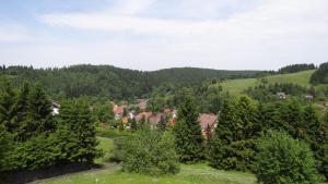 a green hill with trees and a village in the distance at Ferienwohnung Glück Auf in Altenau