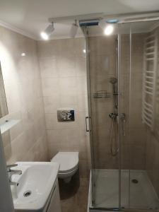 y baño con ducha, aseo y lavamanos. en Apartamenty Przy Rynku, en Żnin