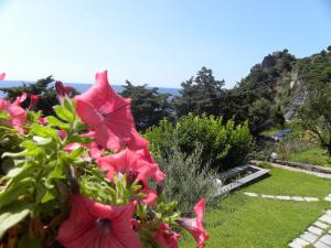 Paisatge natural a prop del bed and breakfast