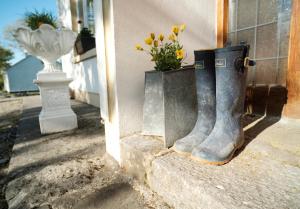 a pair of rubber boots next to a door with flowers at Knocknagrough House, Ballyvaughan, Co. Clare in Ballyvaughan