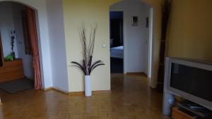 uma sala de estar com um vaso com uma planta em Ferienwohnung Glück Auf em Altenau