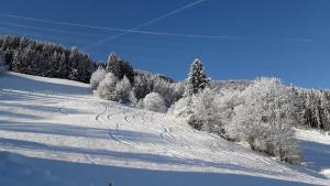 Ferienwohnung Kircher during the winter