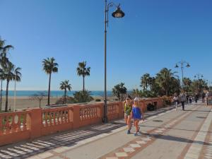 Hostia v ubytovaní Ole Playa 6A, Beach Front - A pie de Playa, Sea Views - Vistas al Mar, Parking, Puerto Marina