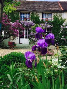 un jardín con flores púrpuras frente a una casa en Adorable et amusante maison de campagne en La Croix-sur-Ourcq