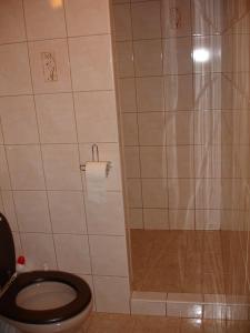 a bathroom with a toilet and a shower at Pension Stoder in Hinterstoder