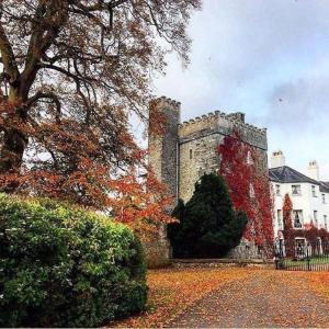 
a tall building with a clock on the side of it at Barberstown Castle in Straffan
