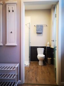 La salle de bains est pourvue de toilettes et d'une douche à l'italienne. dans l'établissement Strada Giardino Tangermünde, à Tangermünde