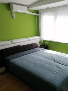 - une chambre verte avec un lit et une fenêtre dans l'établissement Top Center Apartment and Rooms Varna, à Varna