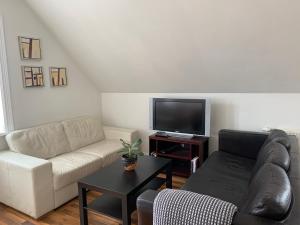 TV a/nebo společenská místnost v ubytování Mánagisting Guesthouse