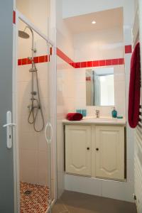 La salle de bains est pourvue d'un lavabo et d'une douche. dans l'établissement Agréable maison de ville, à Périgueux